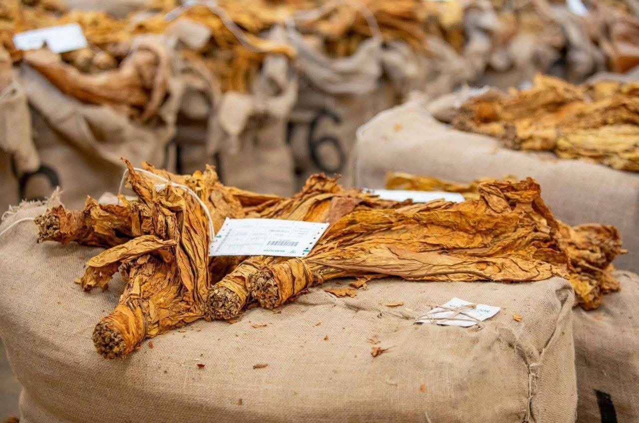 TBZ Intervenes in Erroneous Loan Recoveries, Urges Affected Growers to Come Forward