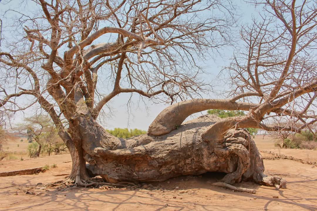 New Digs at Ingombe Ilede Uncover Zambia’s 13th Century Trade Secrets