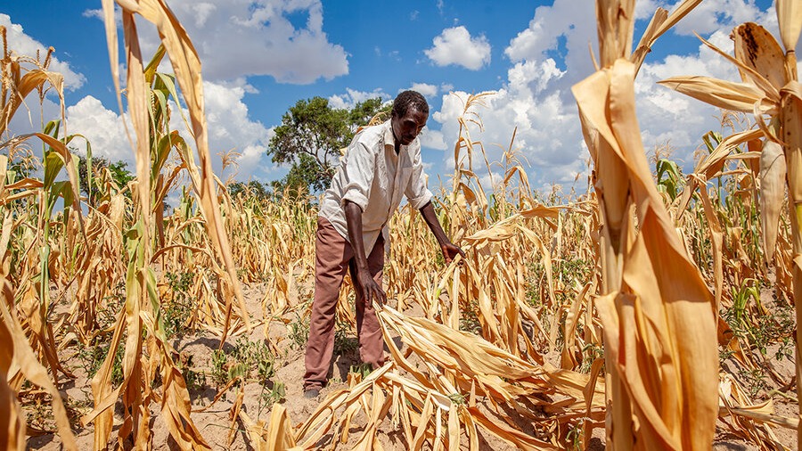 Zambia Faces an Uncertain Rainy Season As El Nino Strengthens