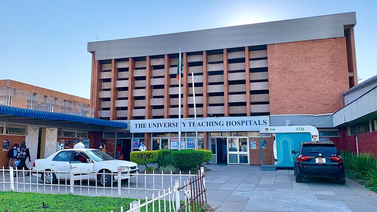 Zambians Still Dying From Diseases We Know How to Prevent
