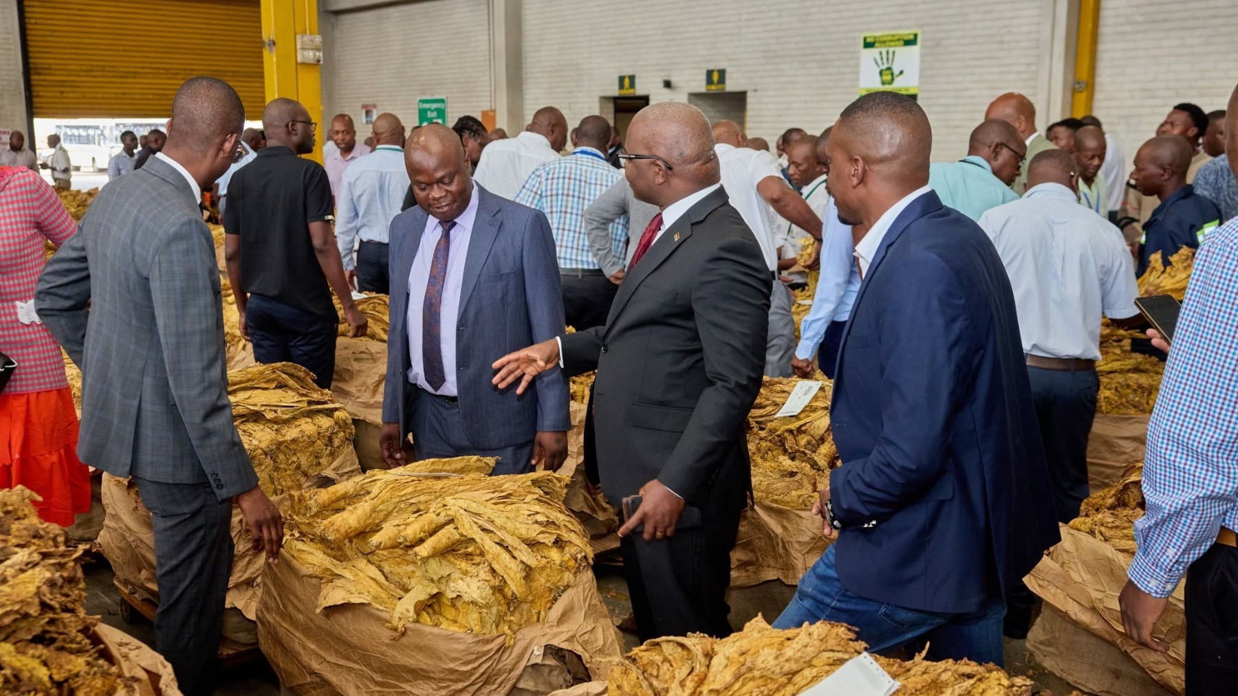 Tobacco Board Considers Levy Reduction to Boost Farmers’ Returns