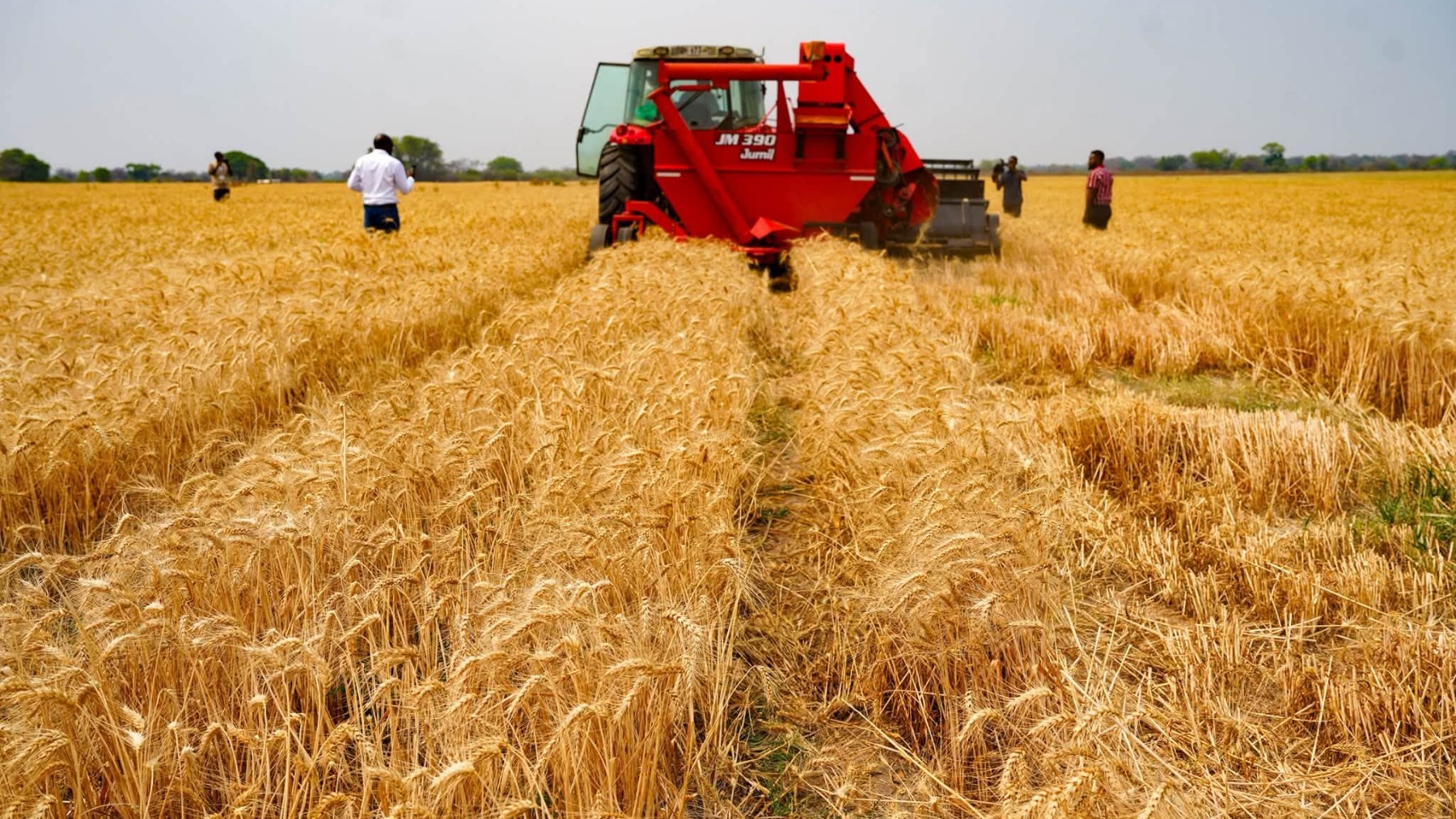 Over 675,000 Farmers Redeem Inputs Under FISP