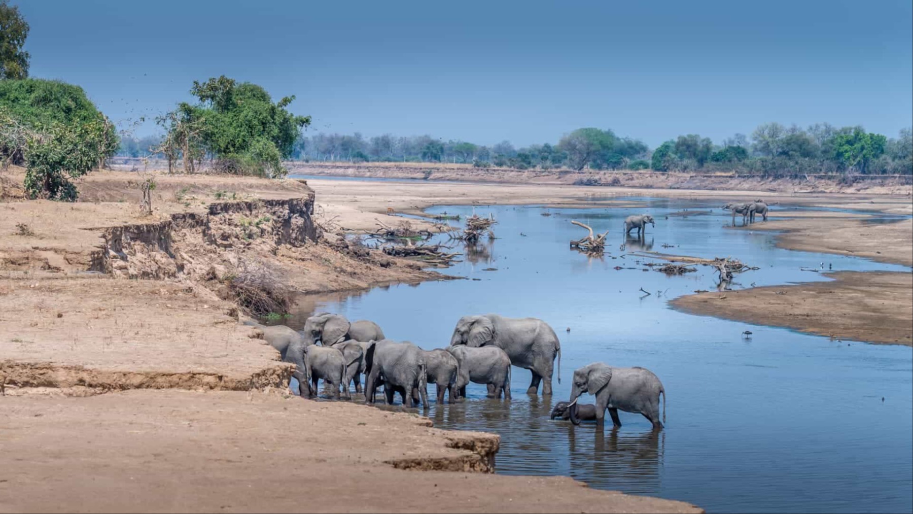 Zambia Seeks More Wildlife Conservation Investment As Tourism Target Reaches Five Million