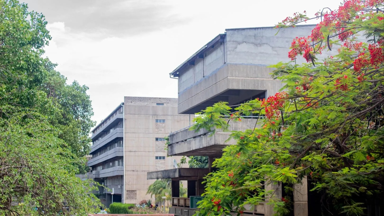 One In Three Students At Two Lusaka Universities Reported Suicidal Thoughts — Study Finds